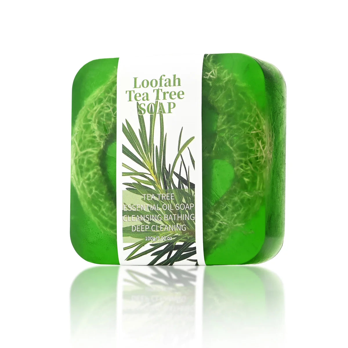 S5b869a01f4fa4ed49bcbc5e3f75a1c0fu